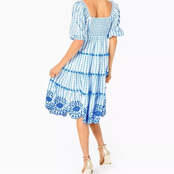 Lilly Pulitzer Midi Sidney Dress in Gingham Stripe Jacquard Blue White Size 14 - Picture 3 of 9